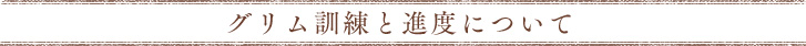 グリム訓練と進度について