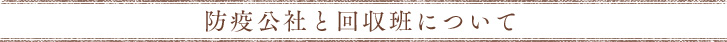 防疫公社と回収班について