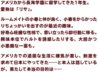 紹介文